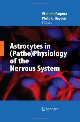 Astrocytes In Pathophysiology Of The Nervous System 1st Edition Harold K Kimelberg Auth