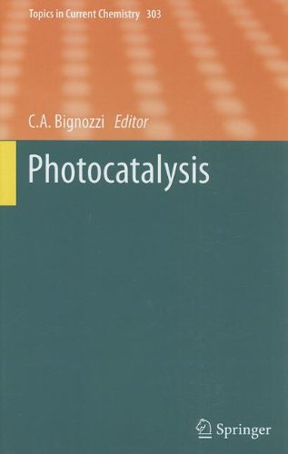 Photocatalysis 1st Edition J Augustyski B D Alexander R Solarska Auth