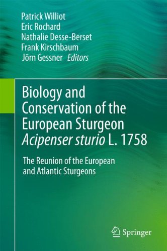 Biology And Conservation Of The European Sturgeonacipenser Sturiol 1758 The Reunion Of The European And Atlantic Sturgeons 1st Edition P Williot
