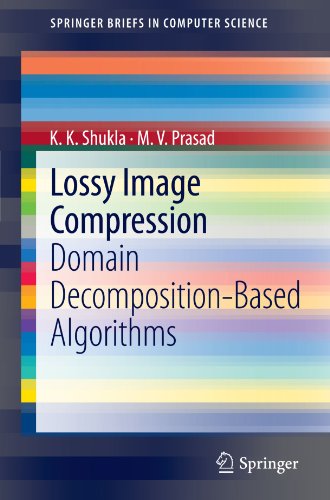 Lossy Image Compression Domain Decompositionbased Algorithms 1st Edition Kk Shukla
