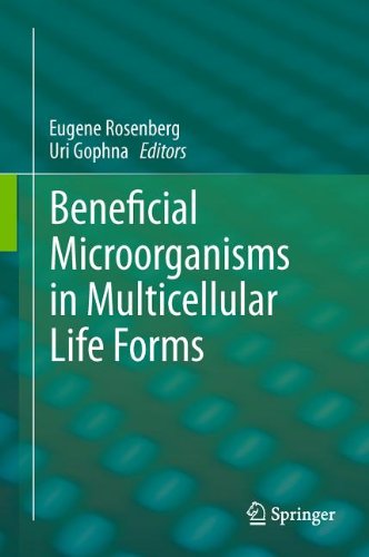 Beneficial Microorganisms In Multicellular Life Forms 1st Edition Andreas Brune Auth