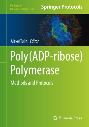 Polyadpribose Polymerase Methods And Protocols 1st Edition Girish M Shah