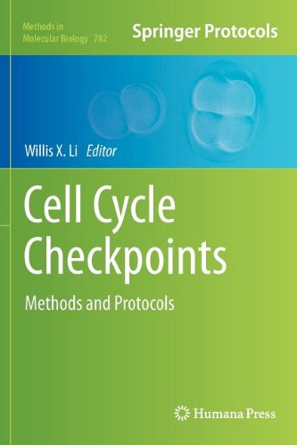 Cell Cycle Checkpoints Methods And Protocols 1st Edition Nicholas Willis