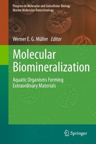 Molecular Biomineralization Aquatic Organisms Forming Extraordinary Materials 1st Edition Jens Baumgartner