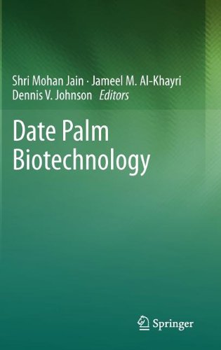 Date Palm Biotechnology 1st Edition D V Johnson Auth Shri Mohan Jain