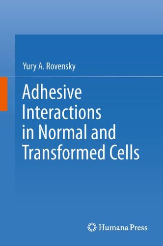 Adhesive Interactions In Normal And Transformed Cells 1st Edition Yury A Rovensky Auth