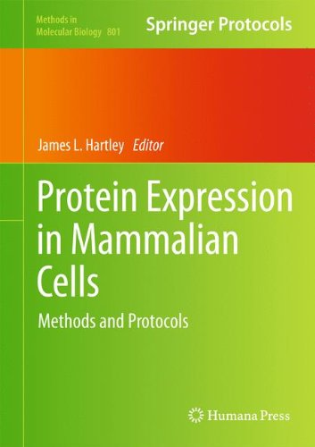 Protein Expression In Mammalian Cells Methods And Protocols 1st Edition James L Hartley Auth