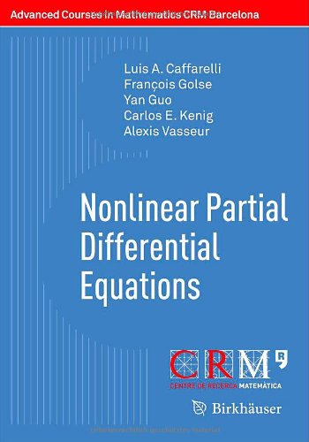 Nonlinear Partial Differential Equations 1st Edition Luis A Caffarelli