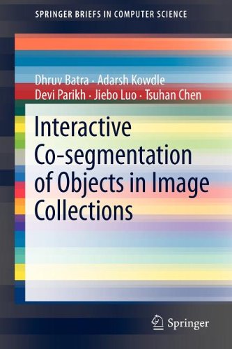 Interactive Cosegmentation Of Objects In Image Collections 1st Edition Dhruv Batra