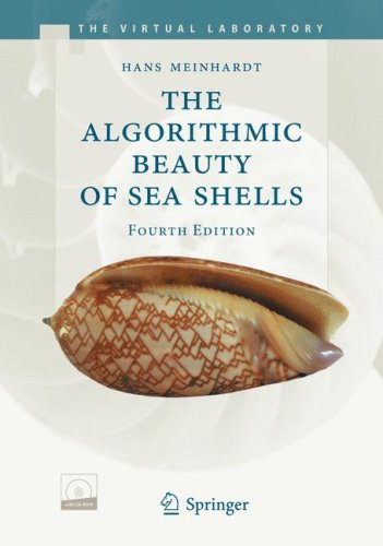The Algorithmic Beauty Of Sea Shells 4th Edition Hans Meinhardt Auth