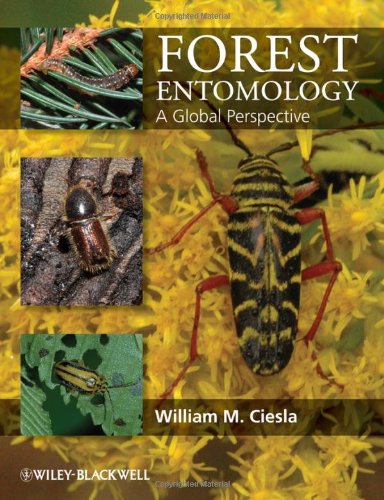 Forest Entomology A Global Perspective 1st Edition William Ciesla