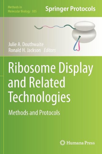 Ribosome Display And Related Technologies Methods And Protocols 1st Edition Andreas Plckthun Auth