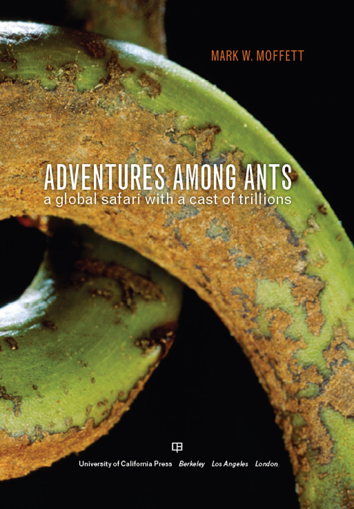 Adventures Among Ants Mark W Moffett