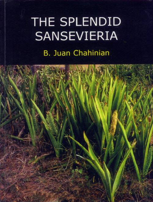 The Splendid Sansevieria B Juan Chahinian