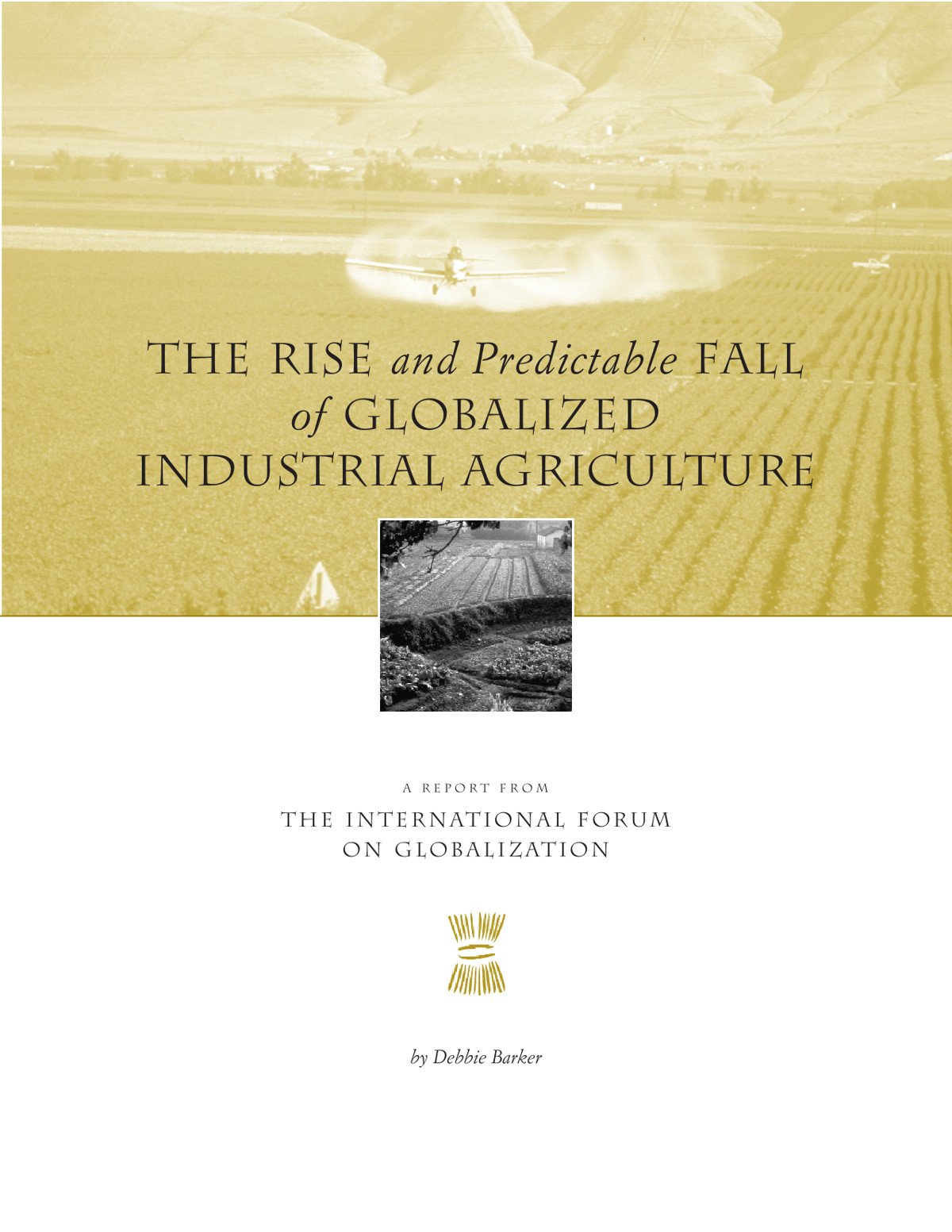 The Rise And Predictable Fall Of Globalized Industrial Agriculture Debbie Barker