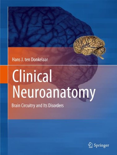 Clinical Neuroanatomy Brain Circuitry And Its Disorders 1st Edition Hans J Ten Donkelaar Auth