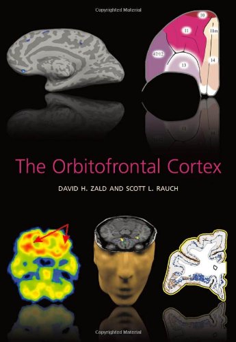 The Orbitofrontal Cortex 1st Edition David Zald Scott Rauch
