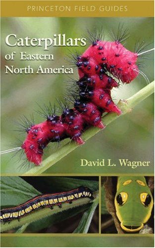Caterpillars Of Eastern North America A Guide To Identification And Natural History David L Wagner