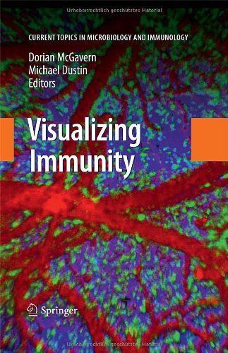 Visualizing Immunity 1st Edition Andrew Bullen Rachel S Friedman