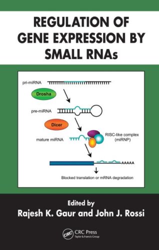 Regulation Of Gene Expression By Small Rnas 1st Edition Rajesh K Gaur