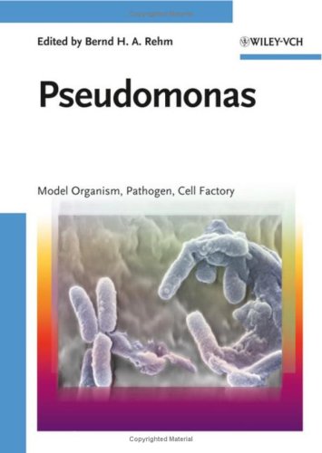 Pseudomonas Model Organism Pathogen Cell Factory 1st Edition Bernd H A Rehm