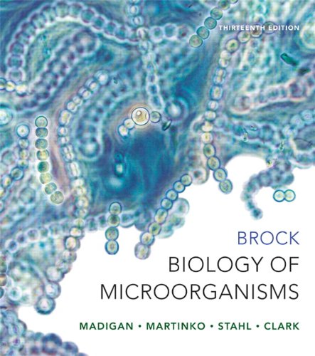 Brock Biology Of Microorganisms 13th Edition 13th Edition Michael T Madigan