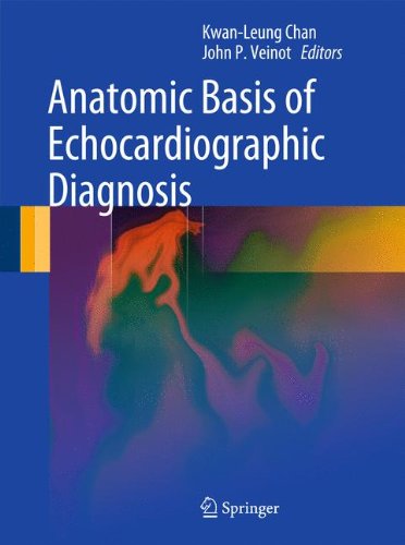 Anatomic Basis Of Echocardiographic Diagnosis 1st Edition Kwanleung Chan