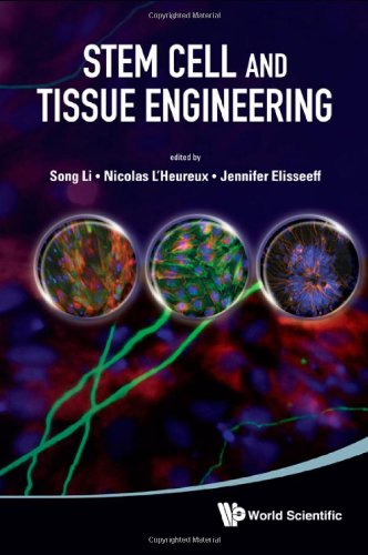 Stem Cell And Tissue Engineering Song Li Nicolas Lheureux Jennifer Elisseeff Editors