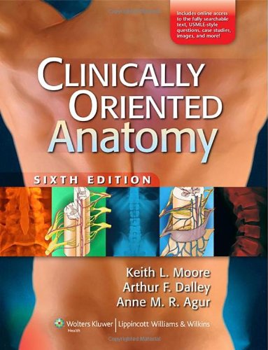 Clinically Oriented Anatomy Sixth Edition 6th Keith L Moore