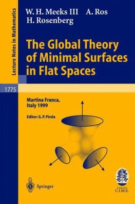 The Global Theory Of Minimal Surfaces In Flat Spaces Lectures Given At The 2nd Session Of The Centro Internazionale Matematico Estivo Cime Held Mathematics Cime Foundation Subseries 1st Edition Wh Iii Meeks