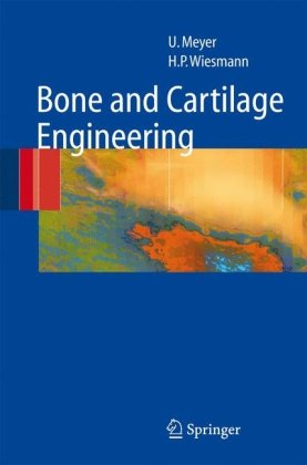 Bone And Cartilage Engineering 1st Edition Ulrich Meyer Hans Peter Wiesmann