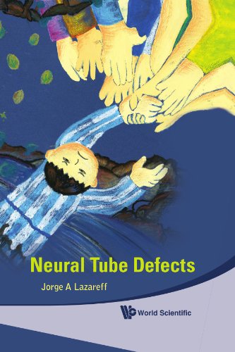 Neural Tube Defects 1st Edition Jorge A Lazareff