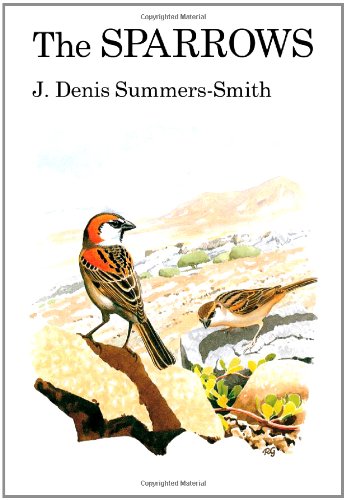 The Sparrows Denis Summerssmith