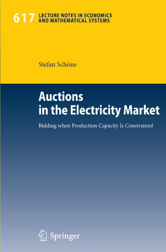 Auctions In The Electricity Market 1st Edition Stefan Schne Eds