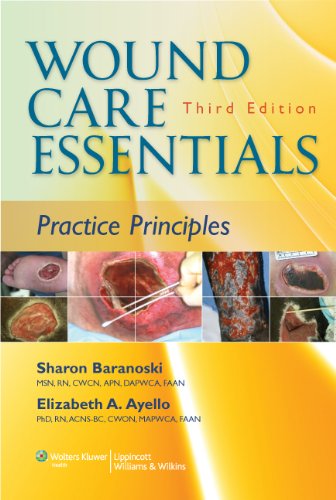 Wound Care Essentials Practice Principles Third Sharon Baranoski