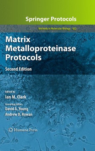 Matrix Metalloproteinase Protocols 2nd Edition Alejandro P Ugalde