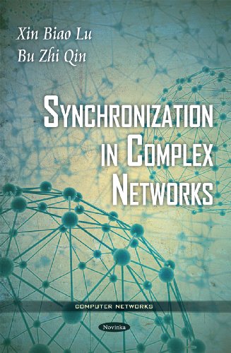Synchronization In Complex Networks Xin Biao Lu Bu Zhi Qin