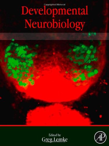 Developmental Neurobiology 1st Edition Greg Lemke