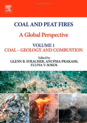 Coal And Peat Fires A Global Perspective Volume 1 Coal Geology And Combustion 1st Edition Glenn B Stracher