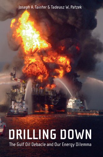Drilling Down The Gulf Oil Debacle And Our Energy Dilemma 1st Edition Joseph A Tainter