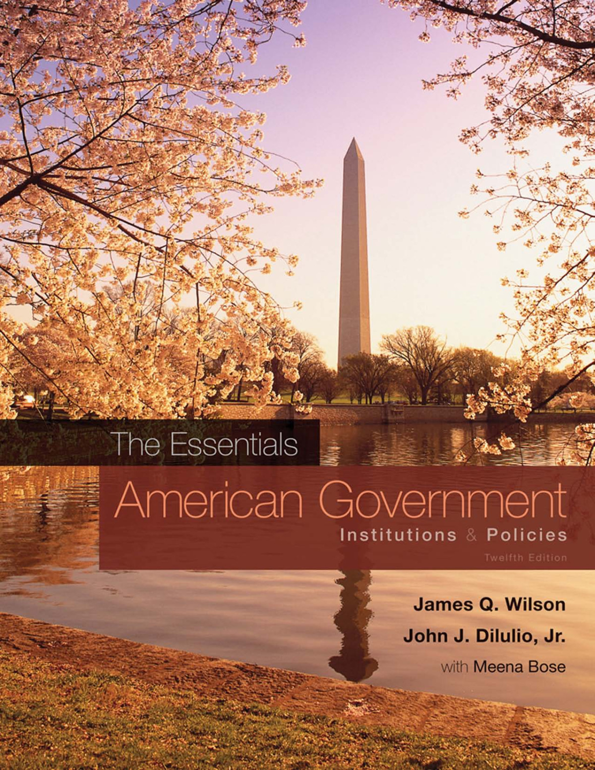 The Essentials Of American Government Institutions Policies 12th Edition James Q Wilson