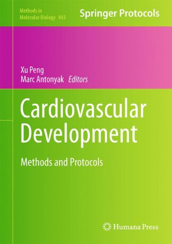 Cardiovascular Development Methods In Molecular Biology V843 2012th Edition Xu Peng