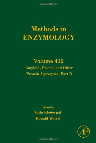 Amyloid Prions And Other Protein Aggregates Part B 1st Edition Indu Kheterpal