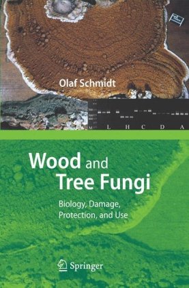 Wood And Tree Fungi Biology Damage Protection And Use 1st Edition Olaf Schmidt