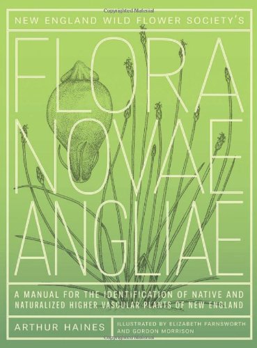 New England Wild Flower Societys Flora Novae Angliae A Manual For The Identification Of Native And Naturalized Higher Vascular Plants Of New England Arthur Haines