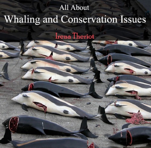 All About Whaling And Conservation Issues First Irena Theriot