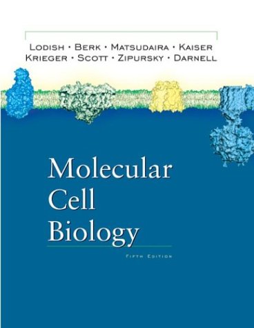 Molecular Cell Biology Fifth Edition Harvey F Lodish