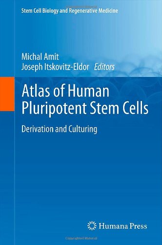 Atlas Of Human Pluripotent Stem Cells Derivation And Culturing 1st Edition Michal Amit Phd