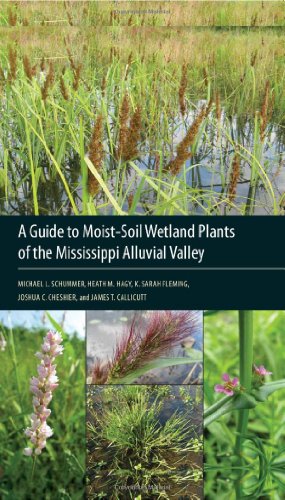A Guide To Moistsoil Wetland Plants Of The Mississippi Alluvial Valley Michael L Schummer