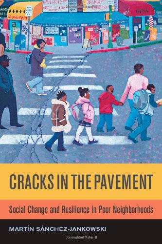 Cracks In The Pavement 1st Edition Martin Sanchezjankowski